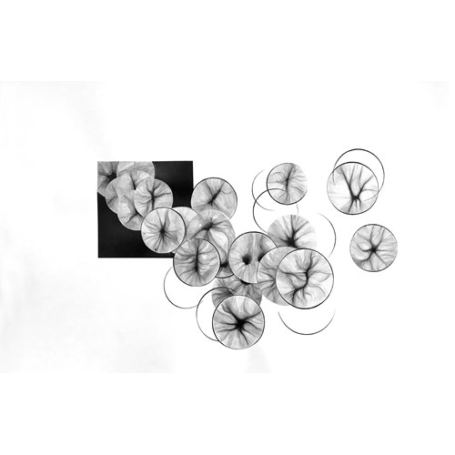 Internal Apertures IV